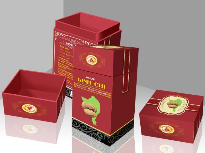 In Bao Bì Hộp Giấy giá rẻ