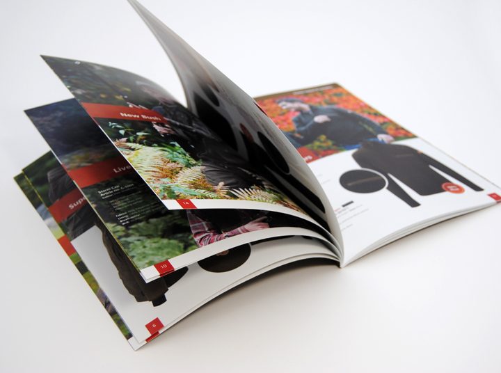 In catalogue tại Hà Nội uy tín